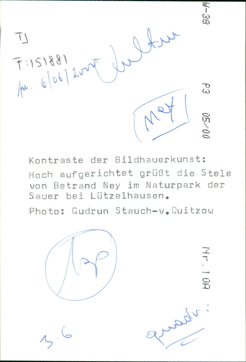 HIGH UPRIGHT STAR BETRAND NEY NATURE PARK SAUER - Vintage Photograph