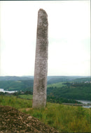 HIGH UPRIGHT STAR BETRAND NEY NATURE PARK SAUER - Vintage Photograph