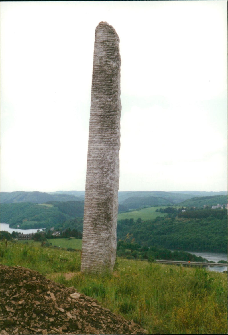 HIGH UPRIGHT STAR BETRAND NEY NATURE PARK SAUER - Vintage Photograph