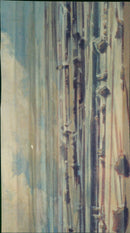 WHEN IANDSCHAFT UNFOLDS ITS POETRY BETWEEN EARTH AND CLOUDS HEIKE NEGEN - Vintage Photograph