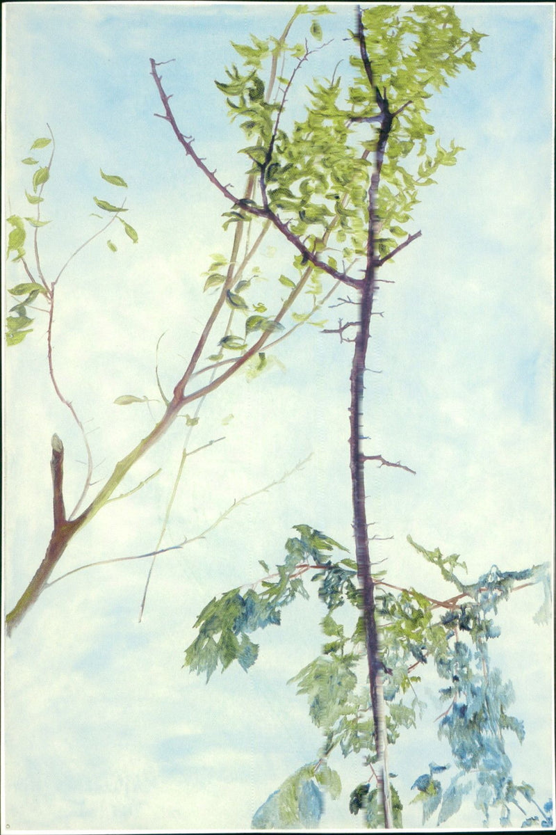 KARL WILLEMS FIND HIS MODELS OPEN AIR AND MAKES CLEAR THROUGH - Vintage Photograph