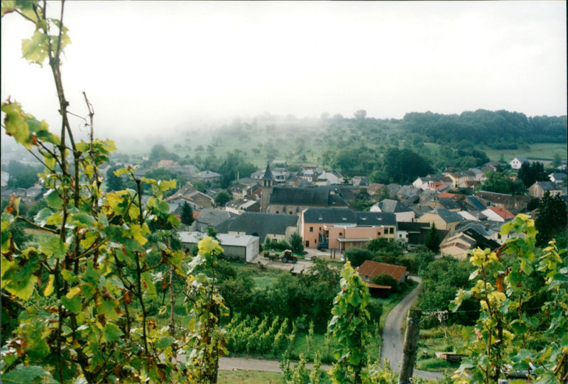 EAR LIVELD VILLAGE LANDSCAPE UNLAND - Vintage Photograph