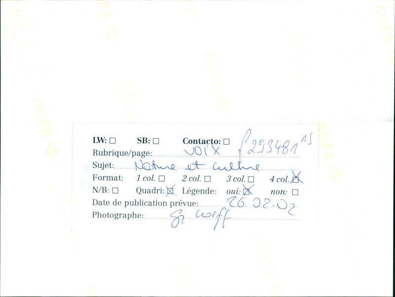 HEADING YES PAGE NATURE WLFF COLLAR CONTACT CULHE QUADRI VOICE AND PLANNED - Vintage Photograph