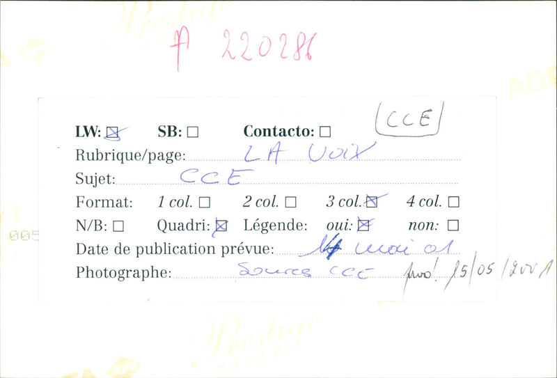 HEADING YES CON PAGE MODELO COL QUADRI PLANNED ECOSI CCE DATE - Vintage Photograph