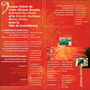 GRAND PYROTECHNIC LUXEMBOURG POPU DAVID JEAN PARIS LADY CONCERT - Vintage Photograph