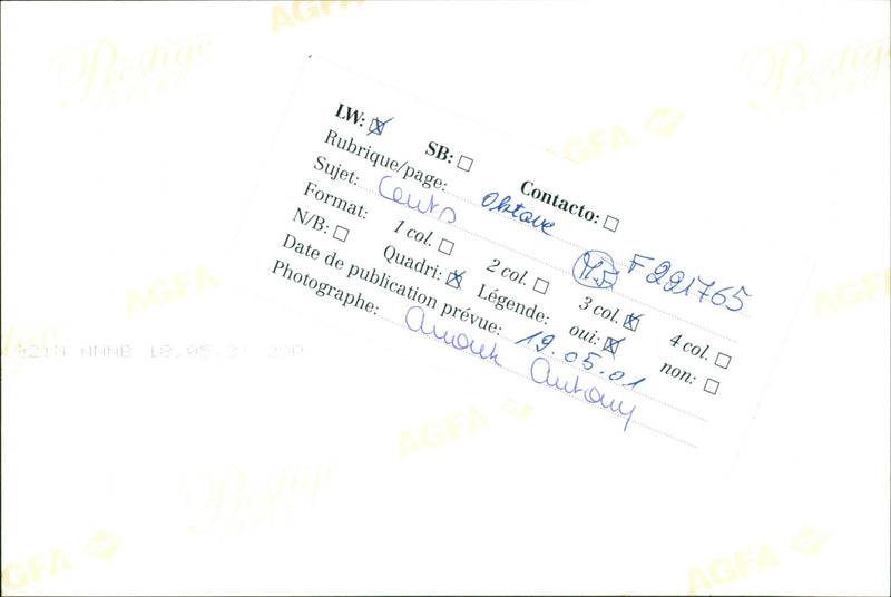 HEADING OKTAVE AUTOMY YES PAGE CEUTS COL CONTACT AIUDUK QUADRI PLANNED PHO - Vintage Photograph