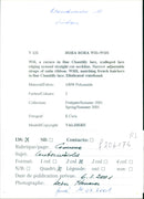 ECICIC MODELL ADJUSTABLE WAISTBAND SUMMER EDGING ELECTED COLLECTION FRENCH - Vintage Photograph