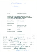 MODELL ARMHOLES ADJUSTABLE SUMMER BEAUTIFUL COUWINCE PUBLICATION NECK COLL - Vintage Photograph