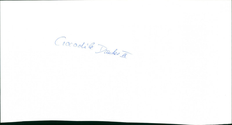 ARANE Crocodile Dandes a - Vintage Photograph