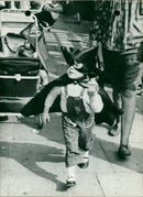 WHO CAPE HOOD BATMAN ENTHUSIASM THIS MADE AND BAUNAN VIGILANTE CROSS - Vintage Photograph