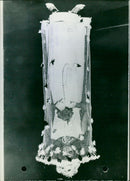 MODEL FEET EDGES DAISIES SAILING NUPTIAL SAIL MELBOURNE YOUNG BRIDE ATTACH - Vintage Photograph