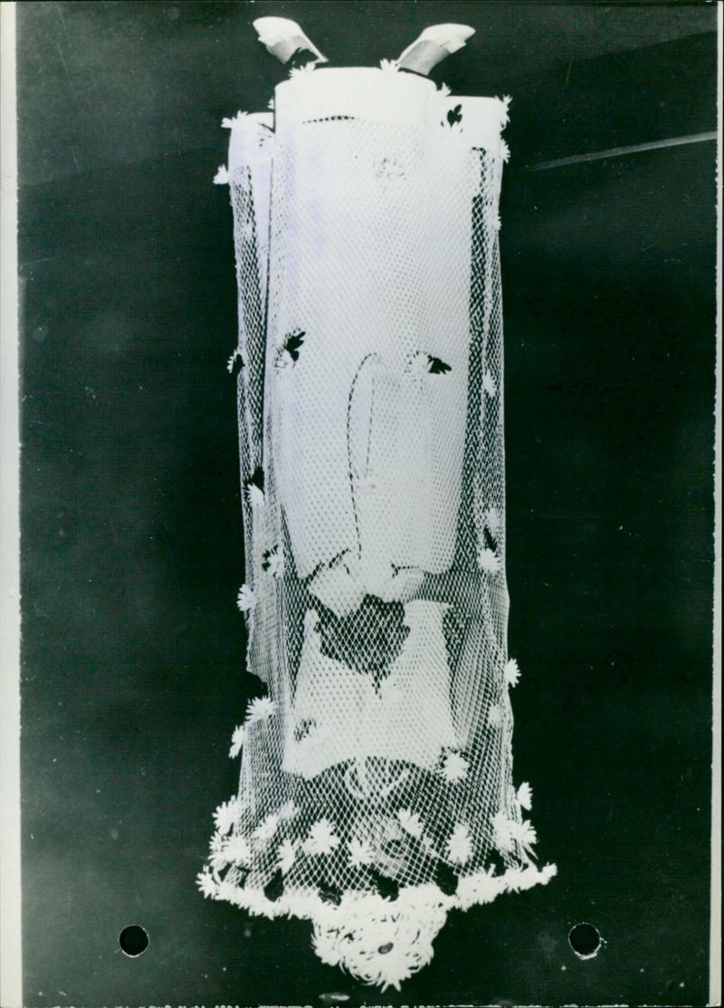 MODEL FEET EDGES DAISIES SAILING NUPTIAL SAIL MELBOURNE YOUNG BRIDE ATTACH - Vintage Photograph