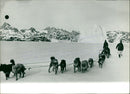 GREENLAND BEGAN THEIR EXPEDITION FOOTSTEPS DOGS HANSEN GOOOOOOOOOOO - Vintage Photograph
