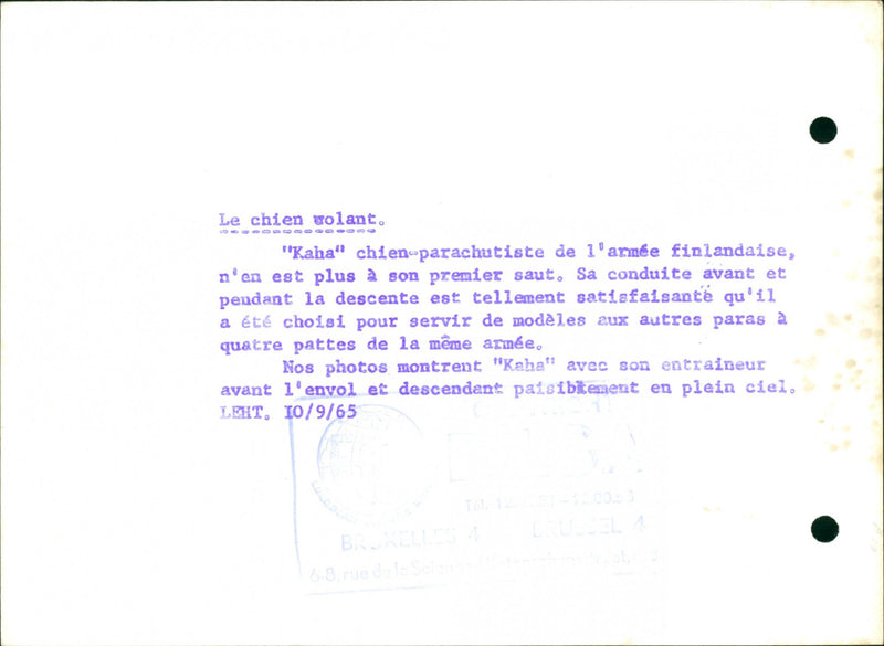 SKY OUR MODELS TGL JUMP FOUR WEAPON SAME PARACHUTIST SATISFYING CHOSEN SER - Vintage Photograph