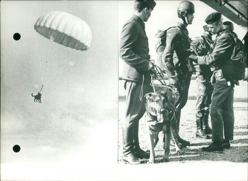 SKY OUR MODELS TGL JUMP FOUR WEAPON SAME PARACHUTIST SATISFYING CHOSEN SER - Vintage Photograph