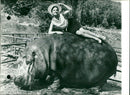 NICELY MODEL DIED PHOTOGTAPH DPA PRESS WHEN YOURE AND HIPPOPOTAMUS - Vintage Photograph