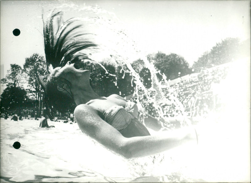 STOCKHOLM INVITED REMARKABLE PRB SEAWEEDS SUN THIS WATER MADE AND PRETTY - Vintage Photograph