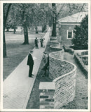 POET FRANCE UNITED - Vintage Photograph