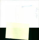 JAZZ CHARLES FESTIVAL CONCERT - Vintage Photograph