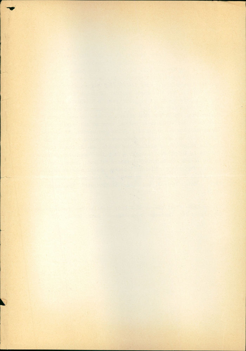 Lowenbaby als Fotomodell in Duisburger merpark ******************* - ** - * - * - Vintage Photograph