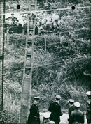 LAWYERS PRISON HAND SEE THEIR PEUGEOT ACCOMPLICES JUDGE LITTLE SEQUEST JEAN - Vintage Photograph