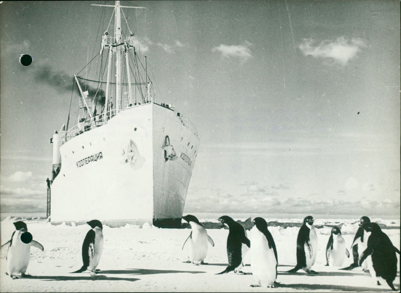 SAME BASE TASS LANDED PAPEDITION CARGO AXTARCTIC SOVIET WATERCTI EXPEDITION - Vintage Photograph