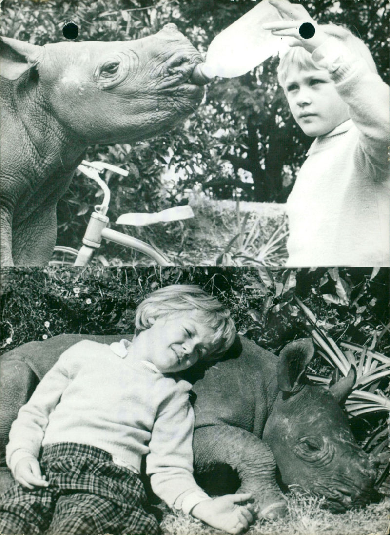 CENTRAL BRITISH MONTHS SIX FRIENDS ANIMALS SURVIVED LITTLE LAUNCHED SOUTHE - Vintage Photograph