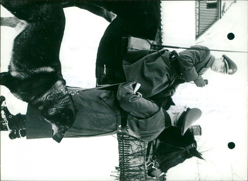 - Vintage Photograph