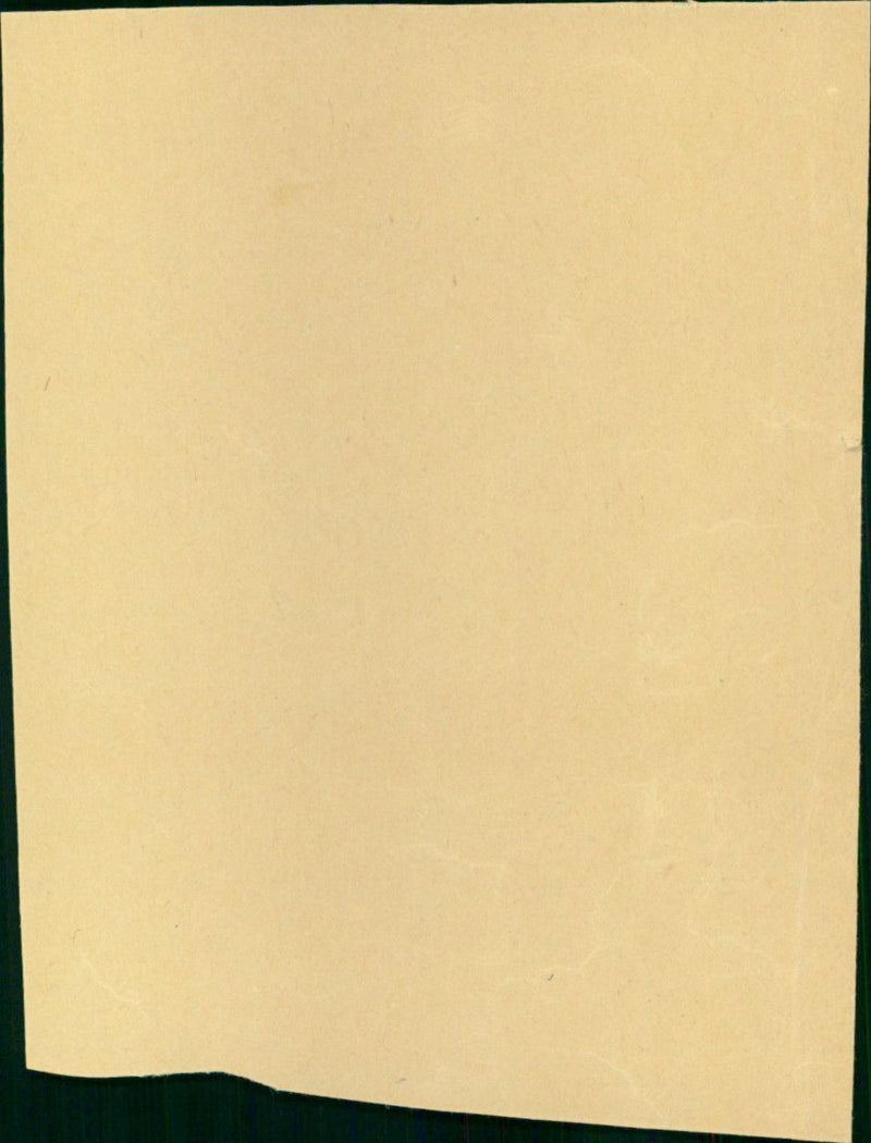 - Vintage Photograph