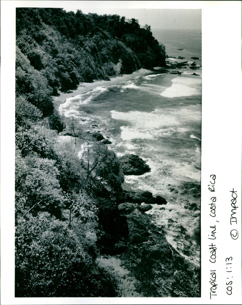 - Vintage Photograph