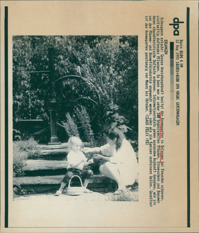 dpa Basis VM 12 Aug DPA NBG01 GARTENANLAGEN ERLANGEN S - Vintage Photograph