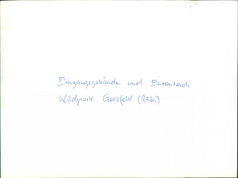 ENTRY BAND AND DUCK POND WILDPARK GERSFELD RHON - Vintage Photograph