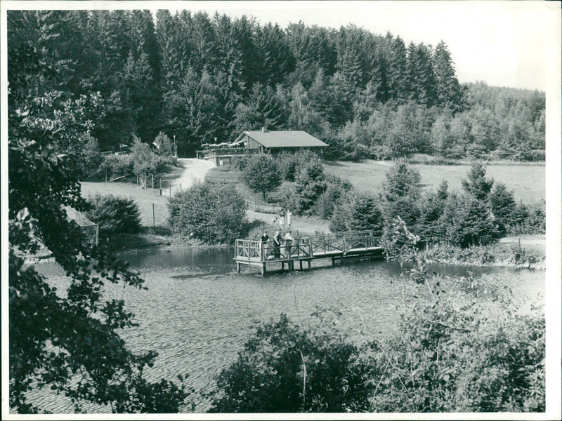ENTRY BAND AND DUCK POND WILDPARK GERSFELD RHON - Vintage Photograph