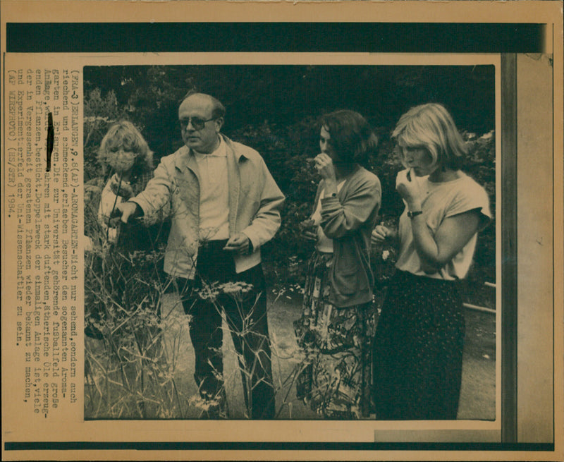 ( FRA - 3 ) ERLANGEN , 9.8 ( AP ) -AROMAGARTEN - Nicht nur sehend , sondern auch - Vintage Photograph