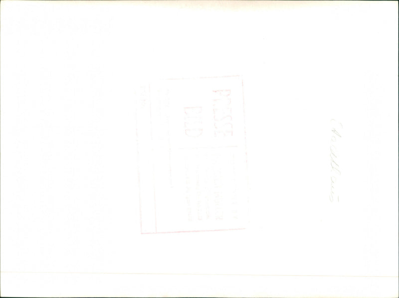 Winter in the country - Vintage Photograph