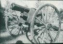 cannon - Vintage Photograph