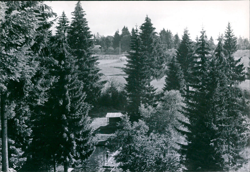 Freudenstadt - Vintage Photograph