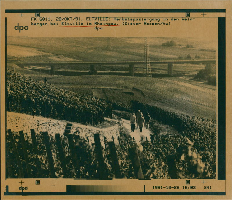 Eltville - Vintage Photograph