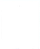 White Fleet from Dresden - Vintage Photograph