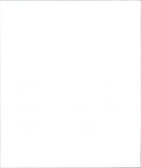 White Fleet from Dresden - Vintage Photograph