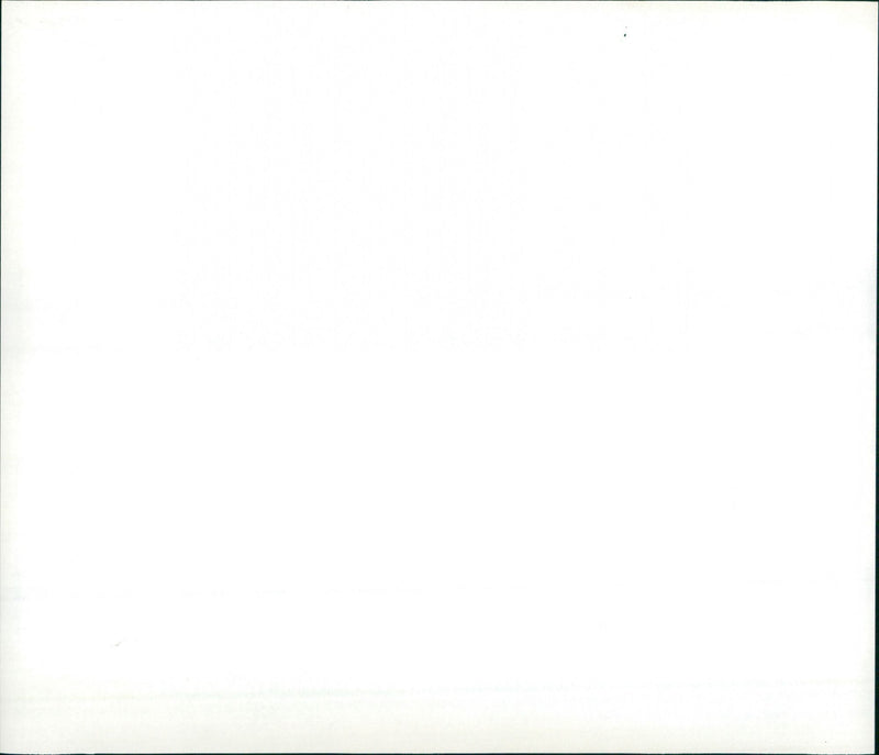 Bohnfah ( FRA ) 16.FEB . ( ) - HAUS DER GESCHICHTE -- Modell fuer das Ha - Vintage Photograph