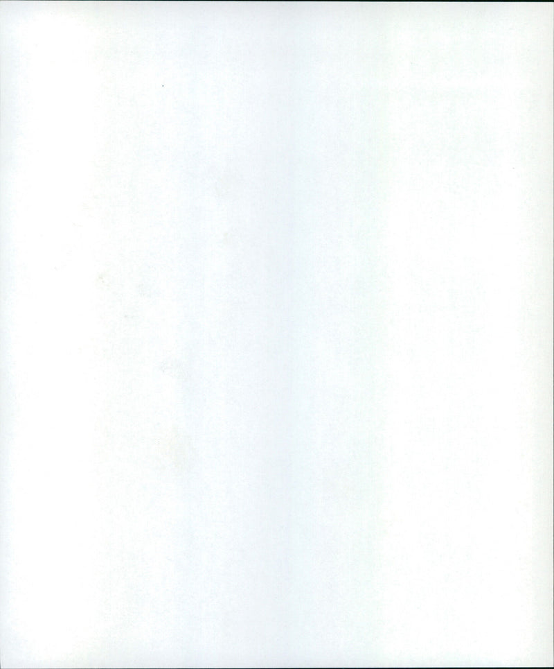 Dellwiger brook - Vintage Photograph