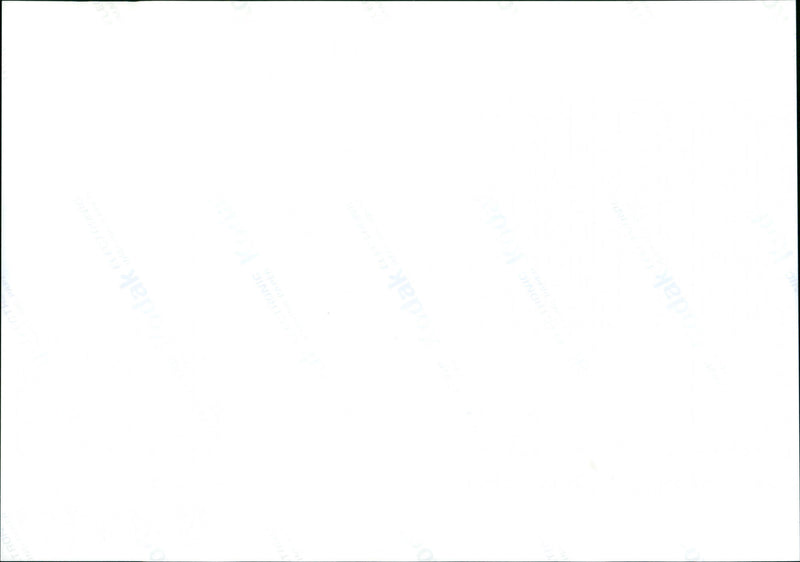 1999 City Music Sculptures - Vintage Photograph