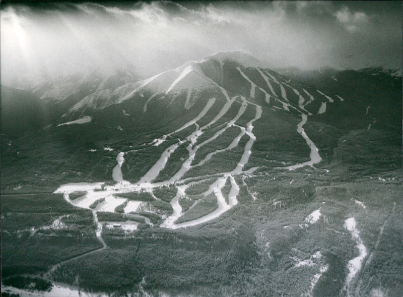 1982 OLYMPIC WINTER GAMES HELD CALGARY CANADA WIL ALBERT PRESS - Vintage Photograph