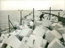 1976 FNRJ DONT CRY SINCE HEAVY CONCRETE BLOCK MARINA STADI AGAINST - Vintage Photograph