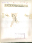 Rüdesheim cabin cable car - Vintage Photograph