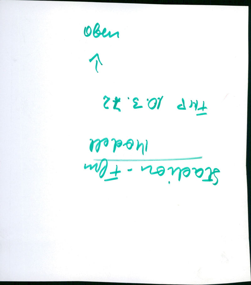 1972 STADIUM FFM MODEL FLUP LNGO - Vintage Photograph