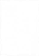 Swiss Guard - Vintage Photograph