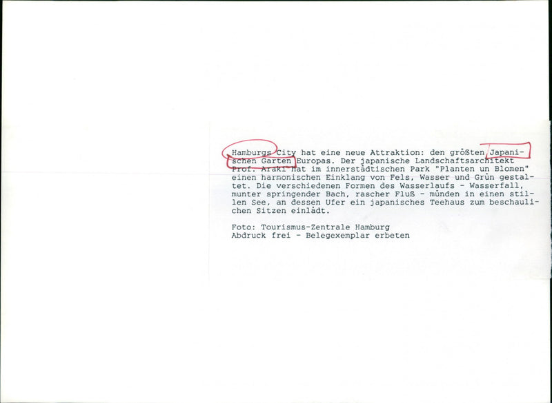 JAPANESE LANDSCAPE ARCHITECT PROF ARAKI HAS INNER PARK - Vintage Photograph