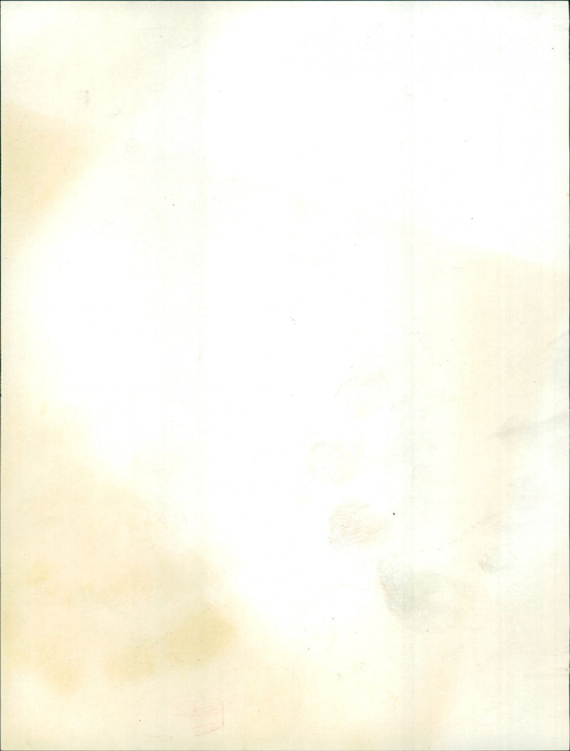 IMUS 0 : / Mai / Hamm : Modell der begehbaren Elefanten - Plasti - Vintage Photograph